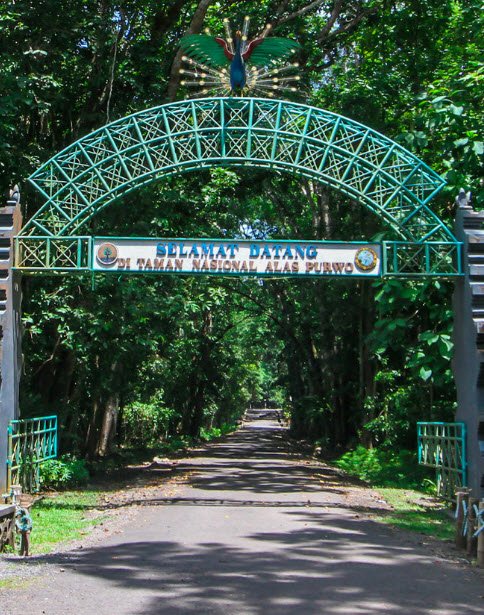 Alas Purwo National Park, Banyuwangi, East Java, Indonesia